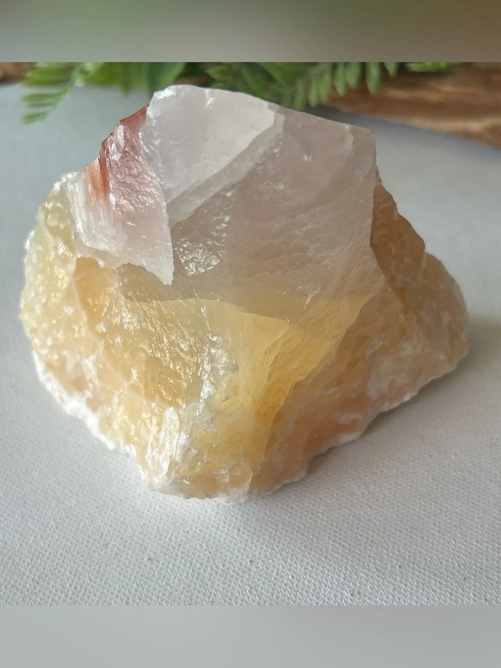 N/A raw tri