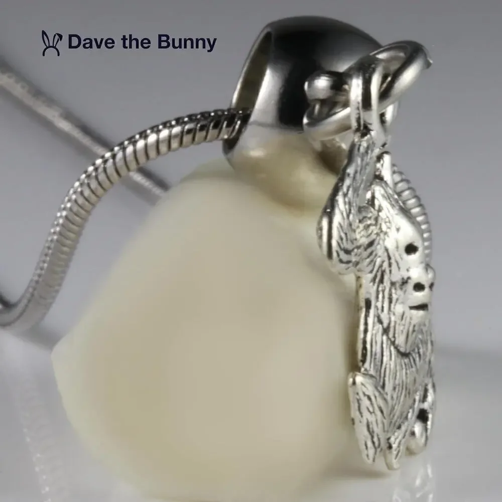 Dave The Bunny ages 13