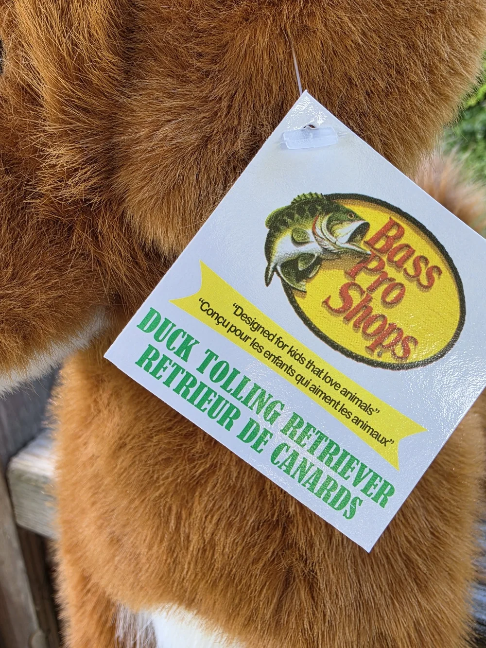 Bass Pro Shops hard find