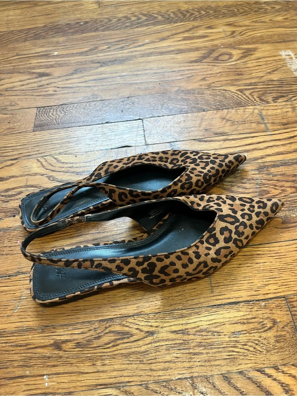 H&M stylish pointed