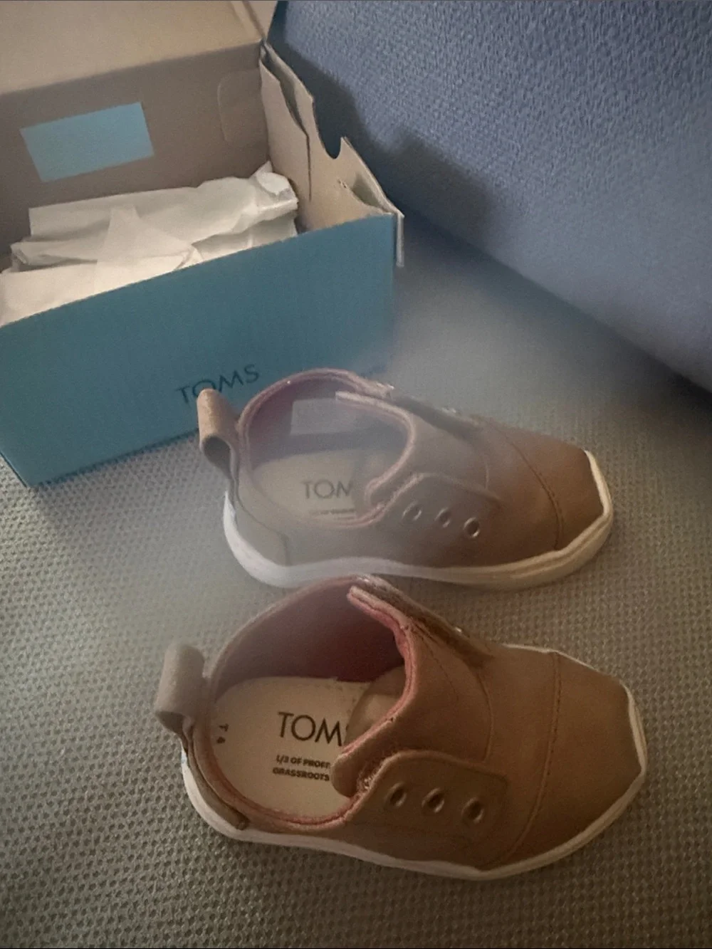 Toms stylish brown