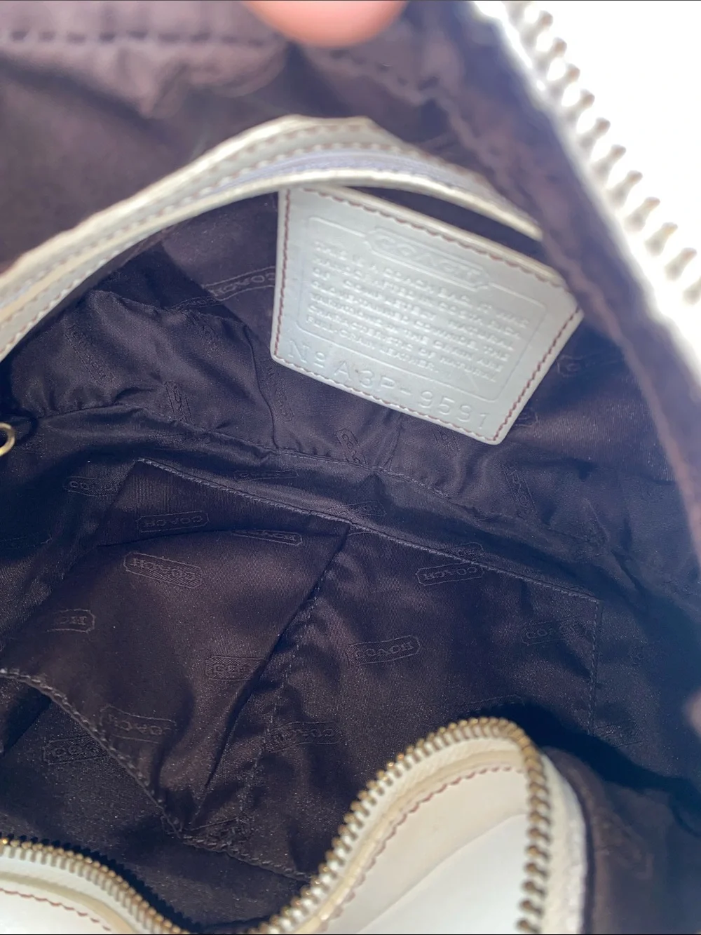 Coach classic hobo