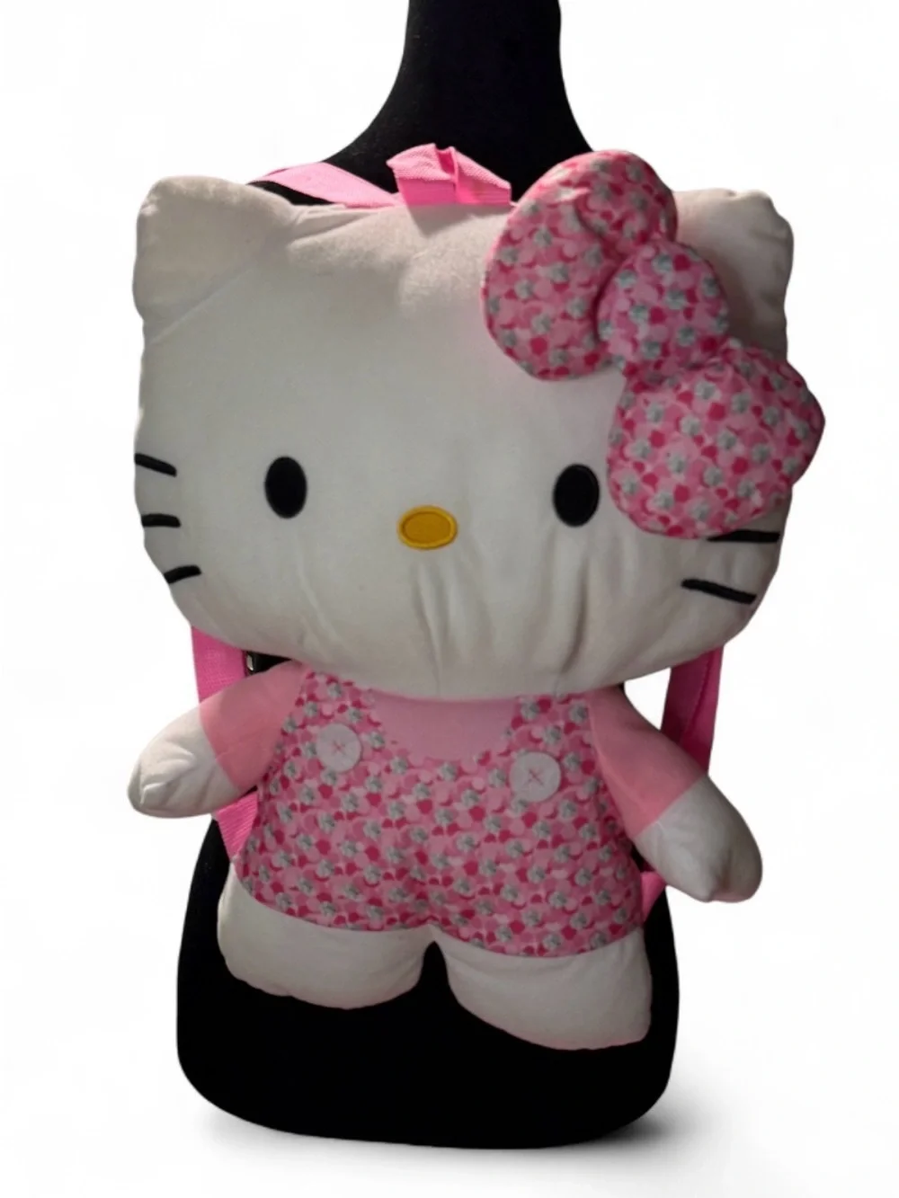 (831-4) Sanrio Hello Kitty 18