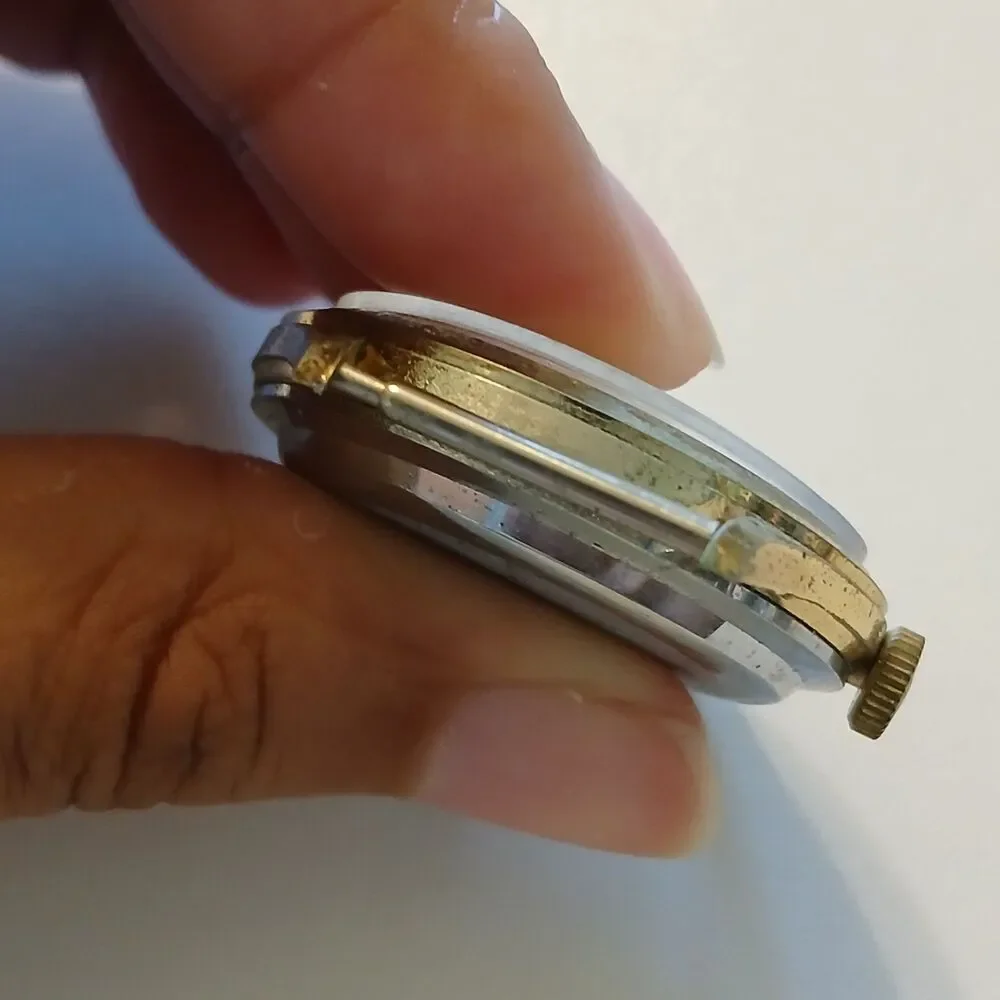 Lucerne watch runs
