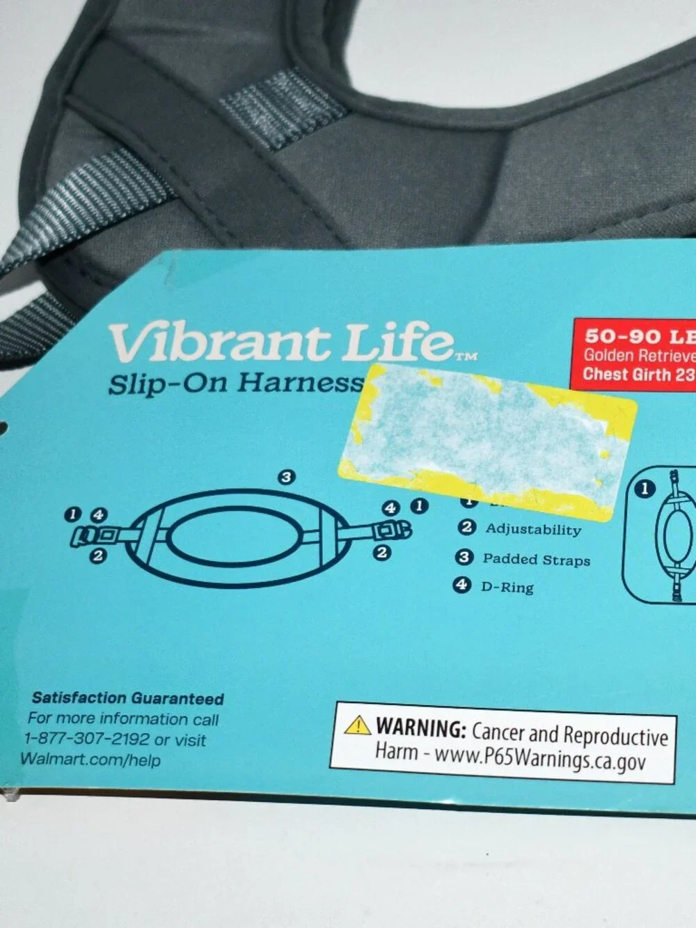 Vibrant Life vibrant life