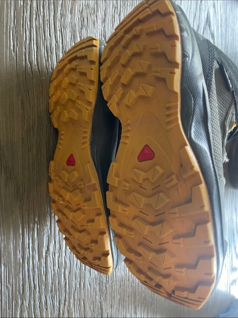 Salomon sturdy trail