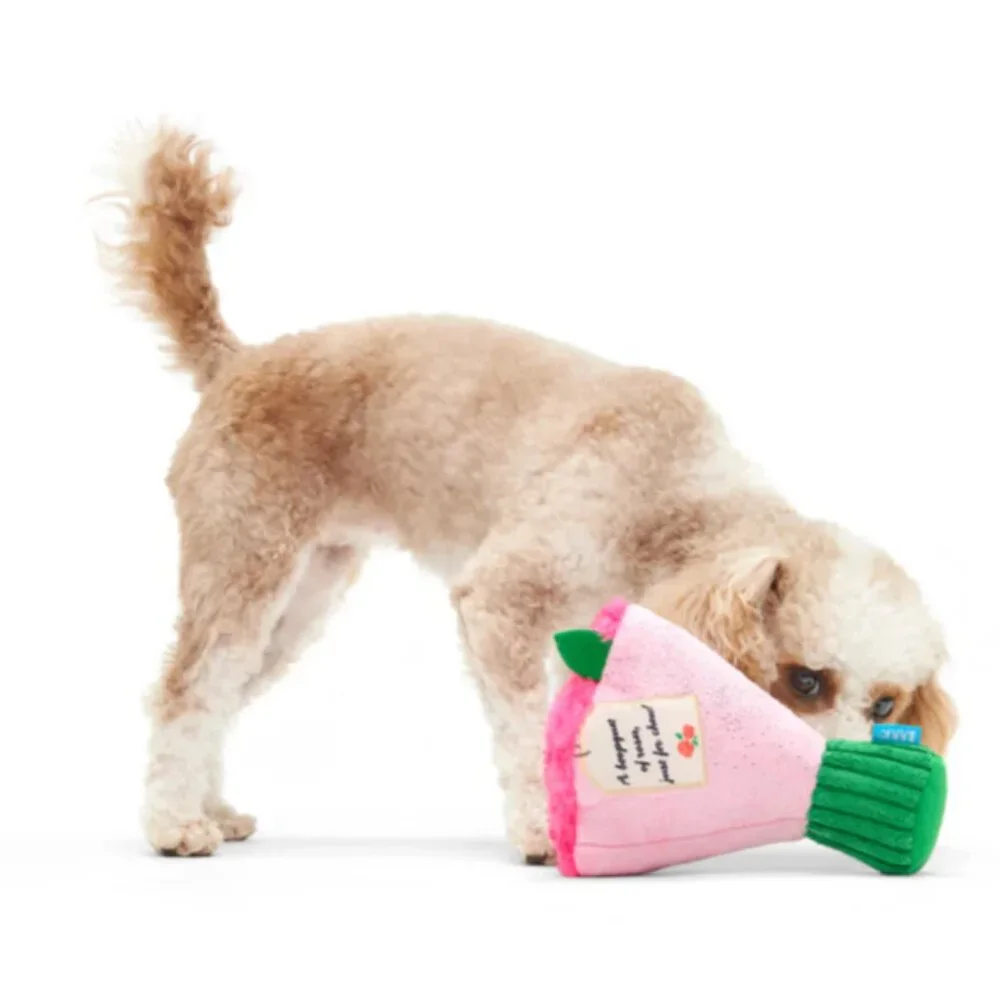 Bark nwt boopquet