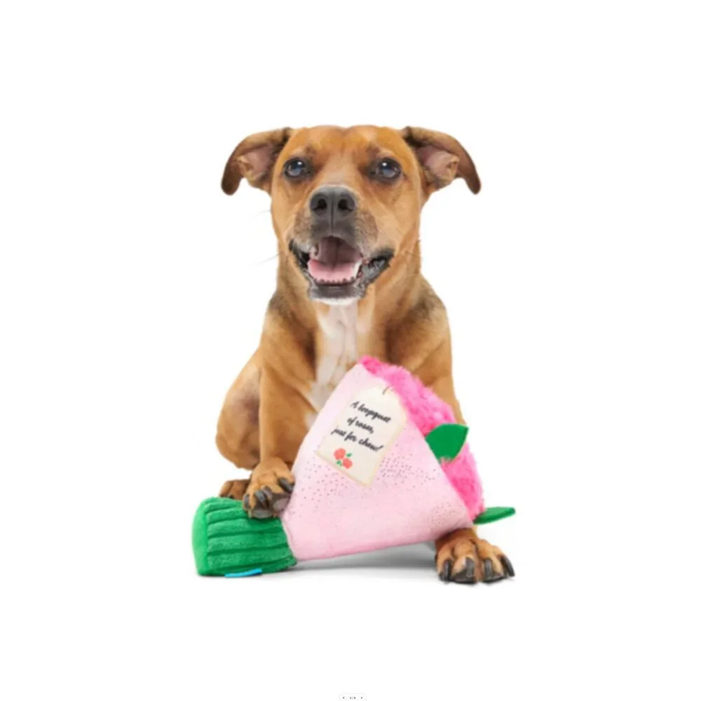 Bark nwt boopquet