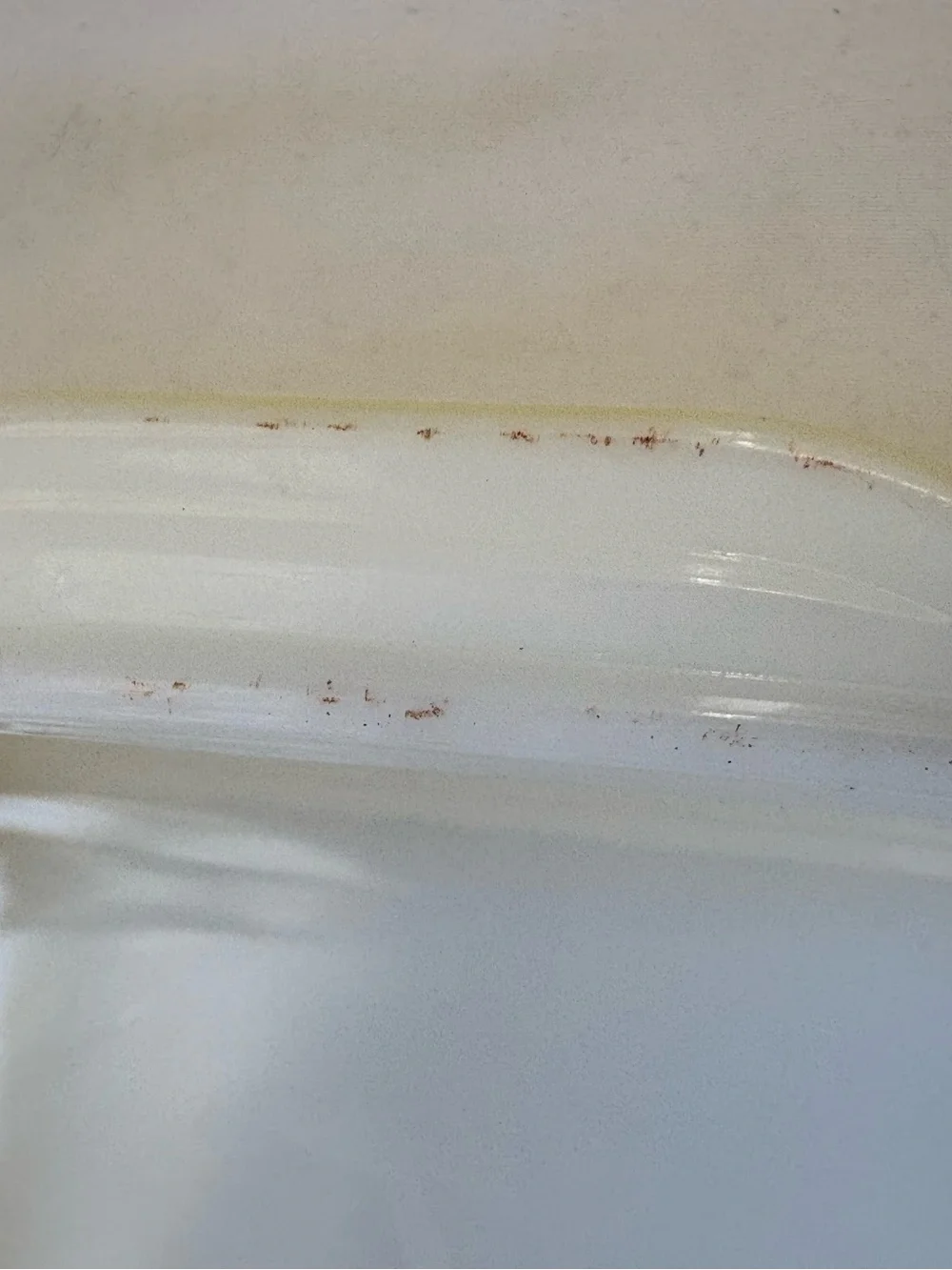 Pyrex chips pics lid