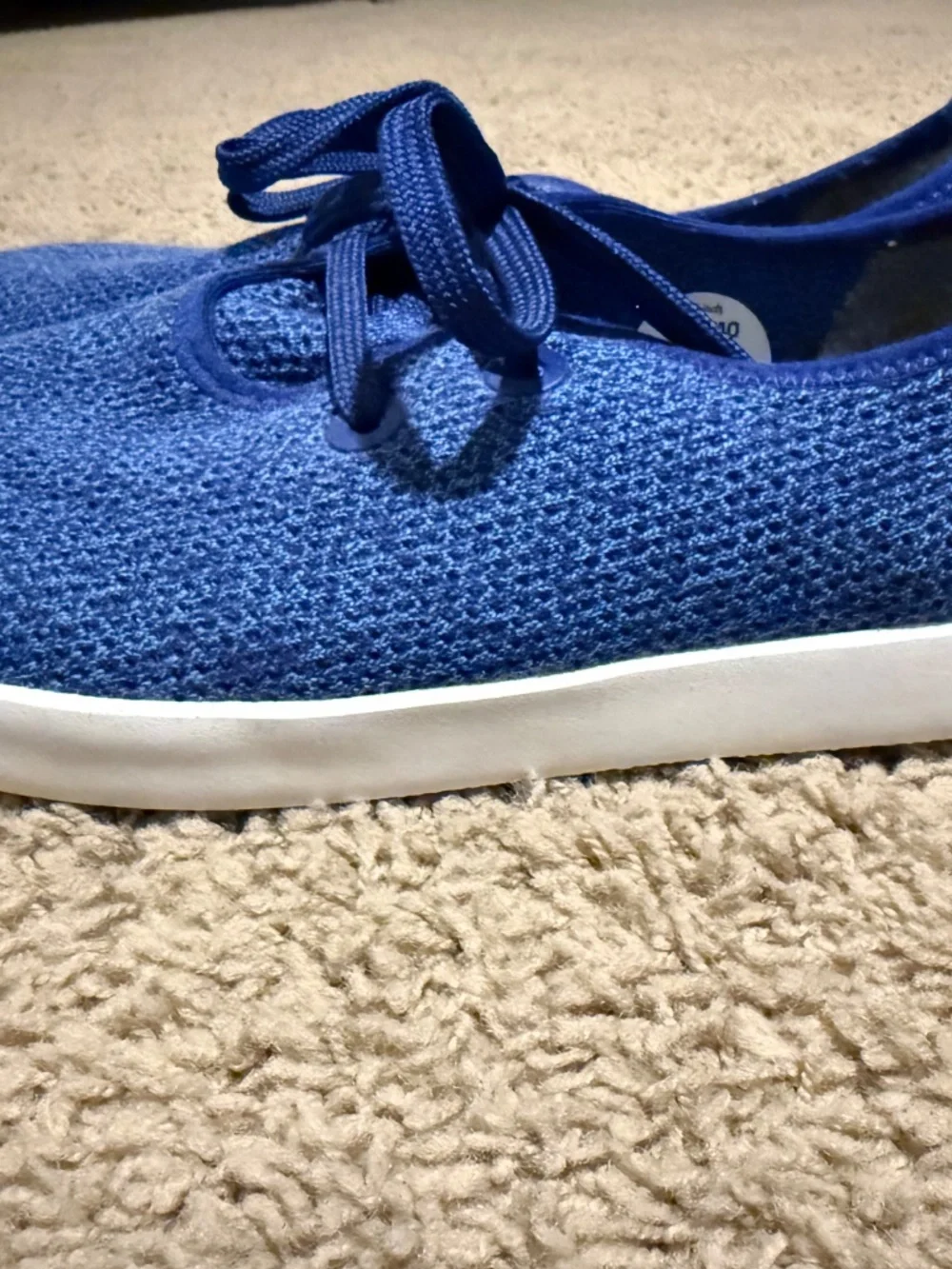 allbirds take boat