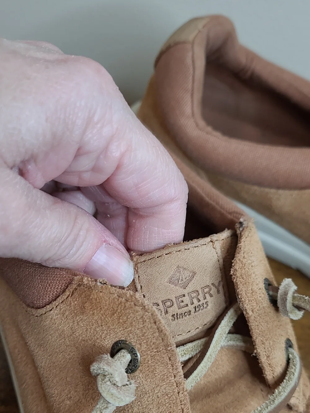 Sperry size accepted out