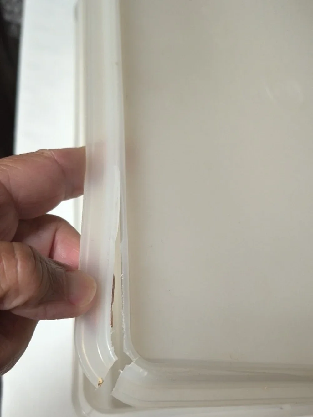 Tupperware read lid
