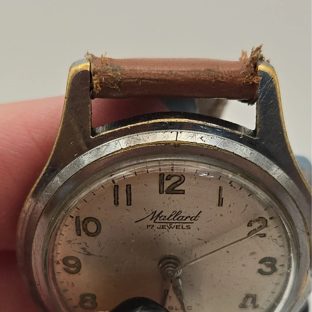 Mallard this vintage
