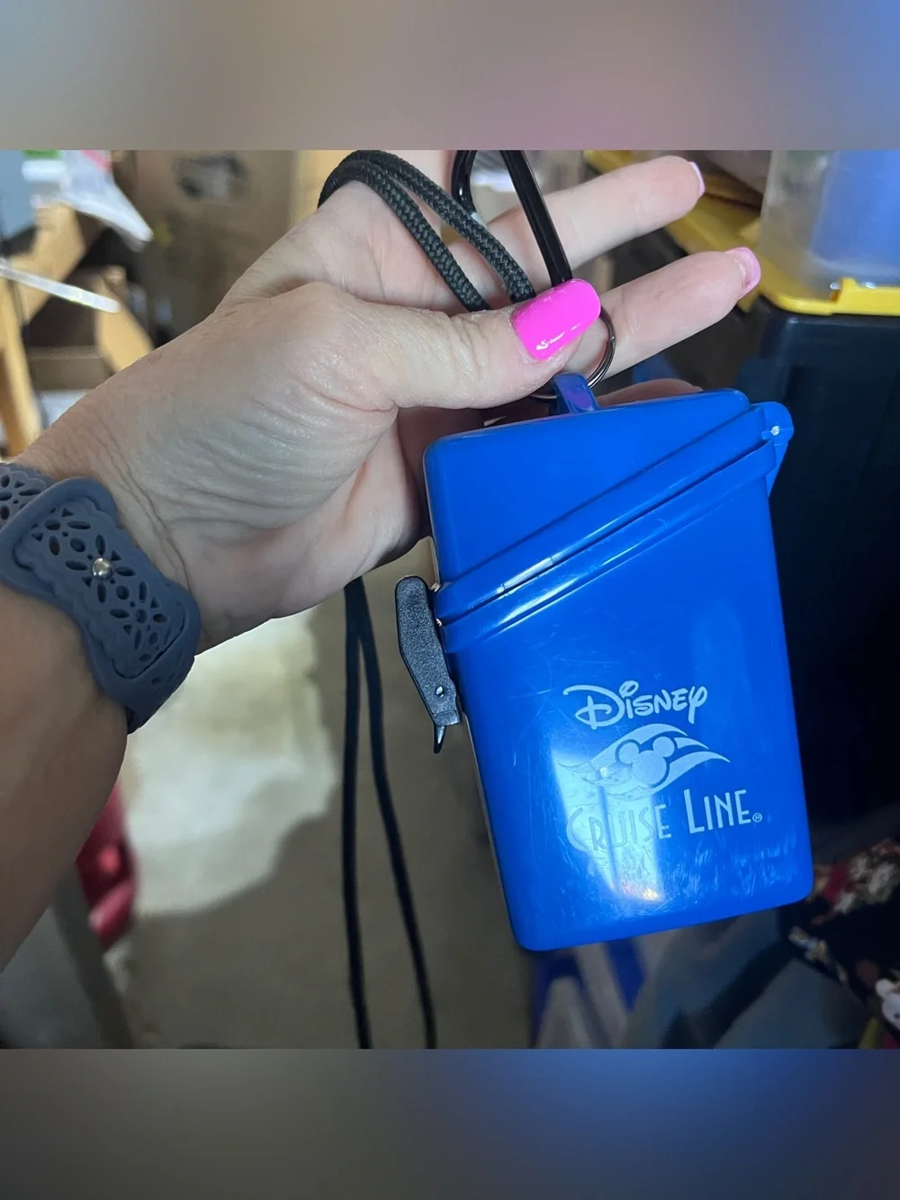 Disney hard plastic