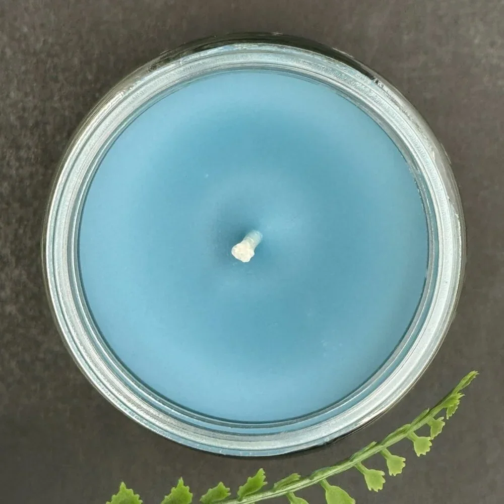 BBW Flannel White Barn Bath & Body Works Mason Jar Single Wick Candle