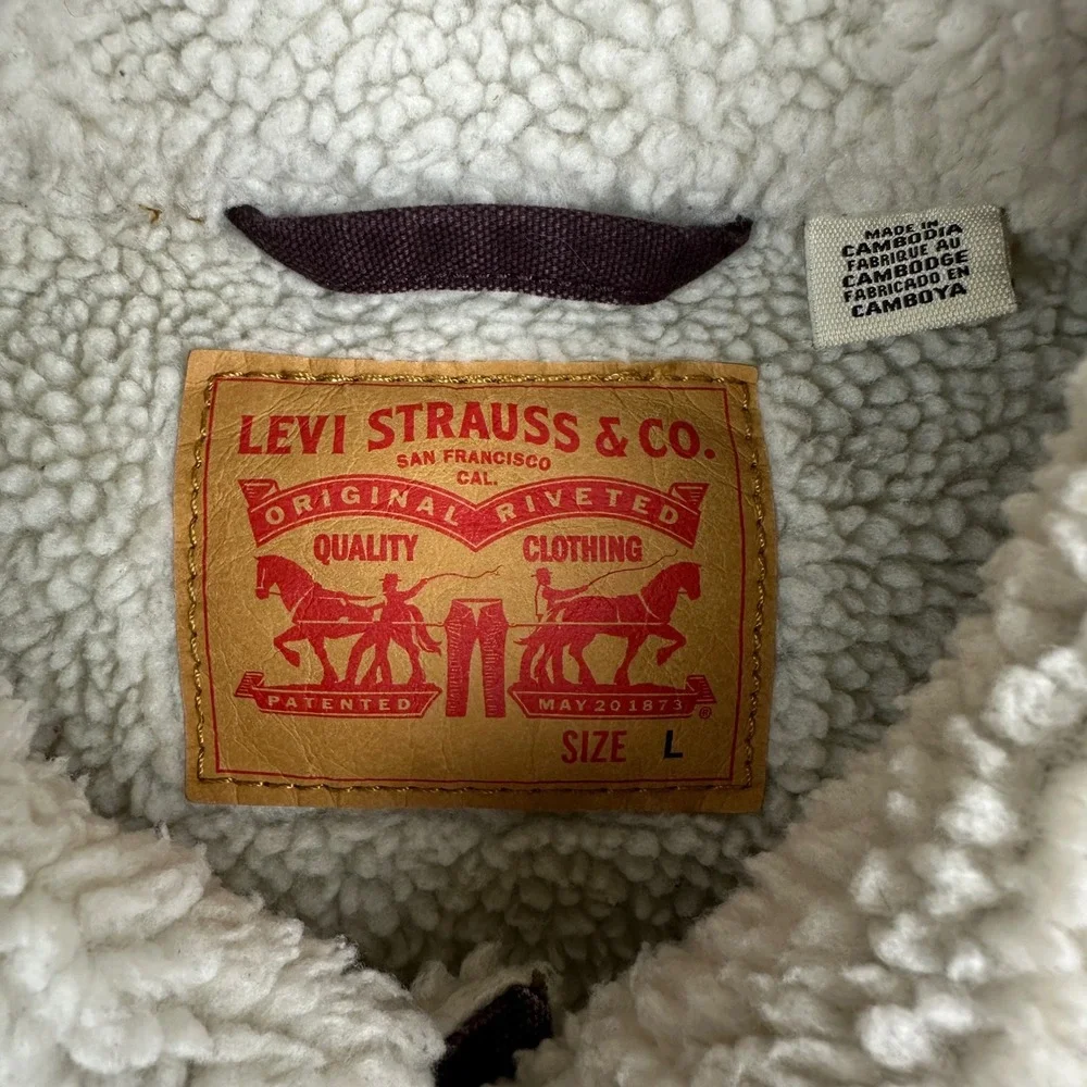 Levis levi sherpa