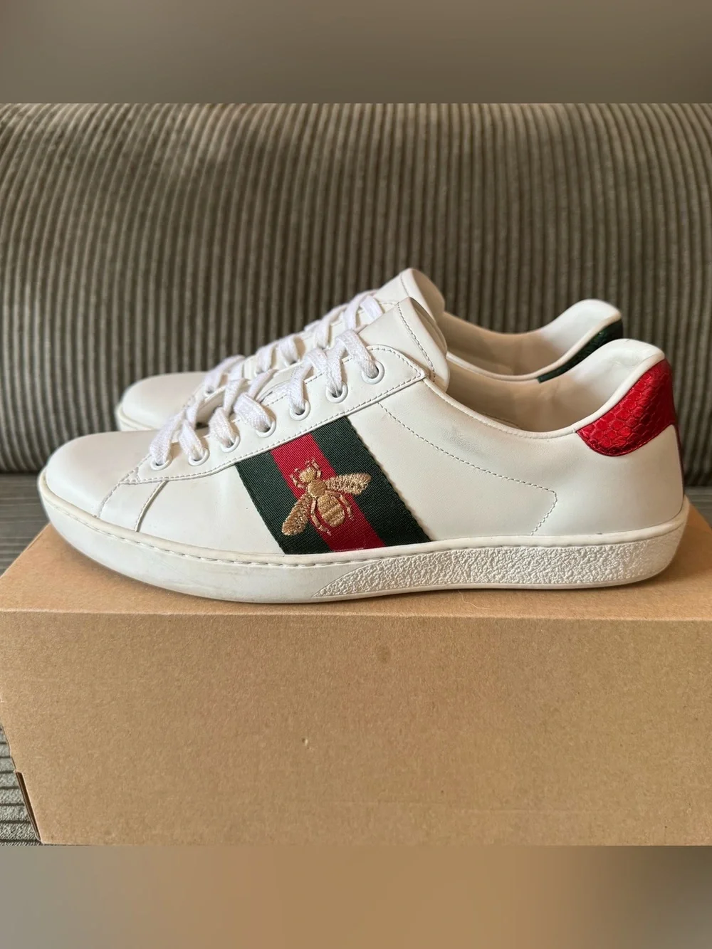 Gucci classic low