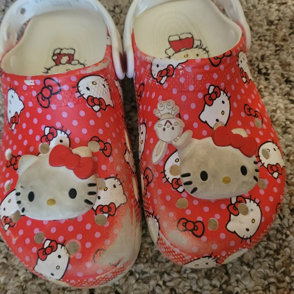 CROCS these are
