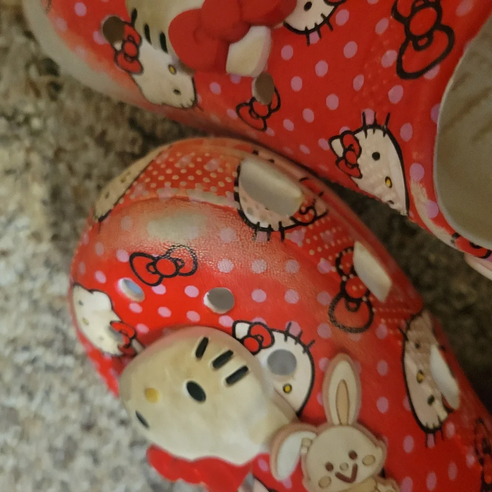 CROCS these are
