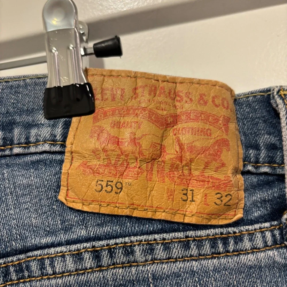 Levis levis 559