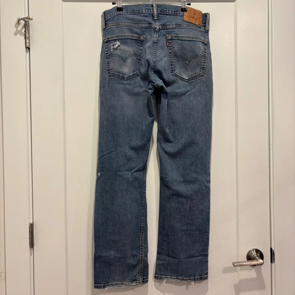 Levis levis 559