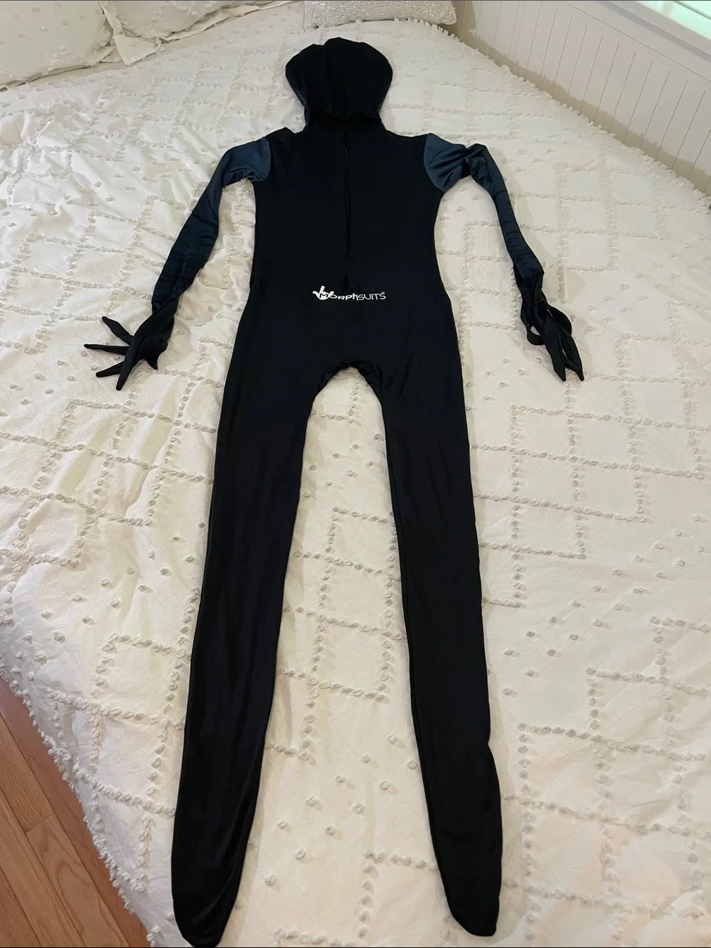morph costumes this costume