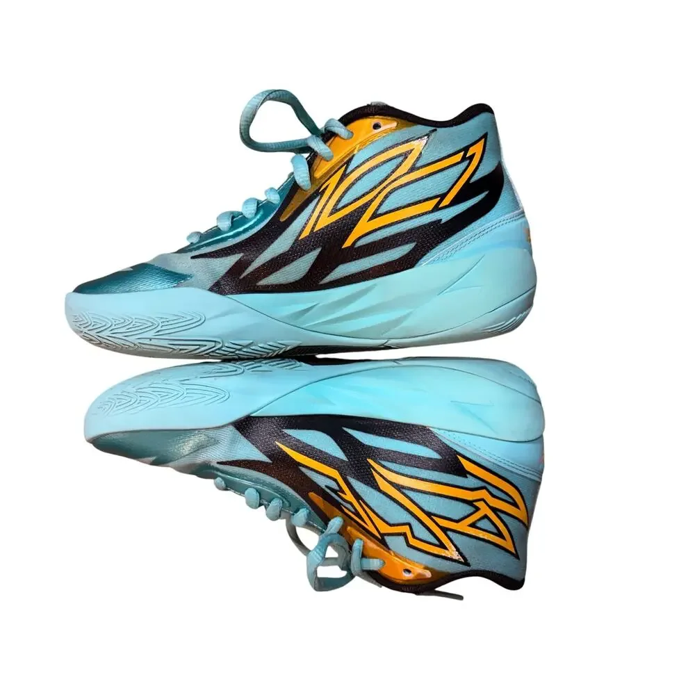 Puma sold as