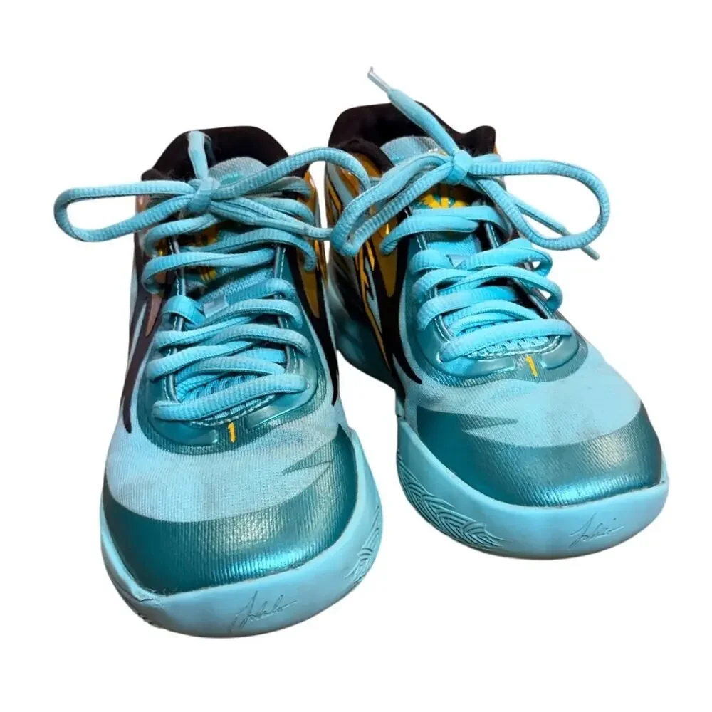 Puma sold as