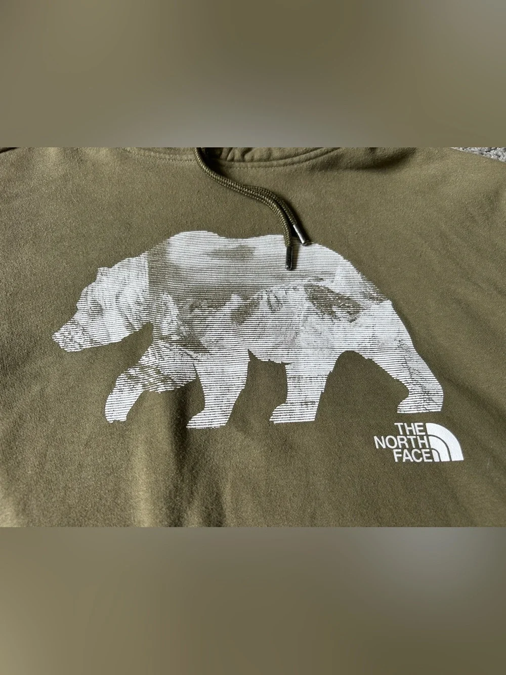 The North Face pullover hoodie