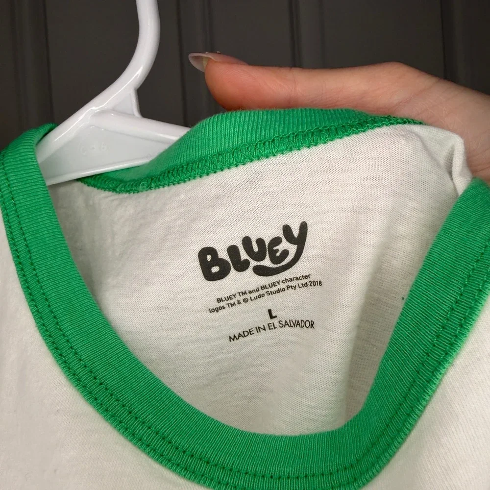 Bluey birthday shamrock print