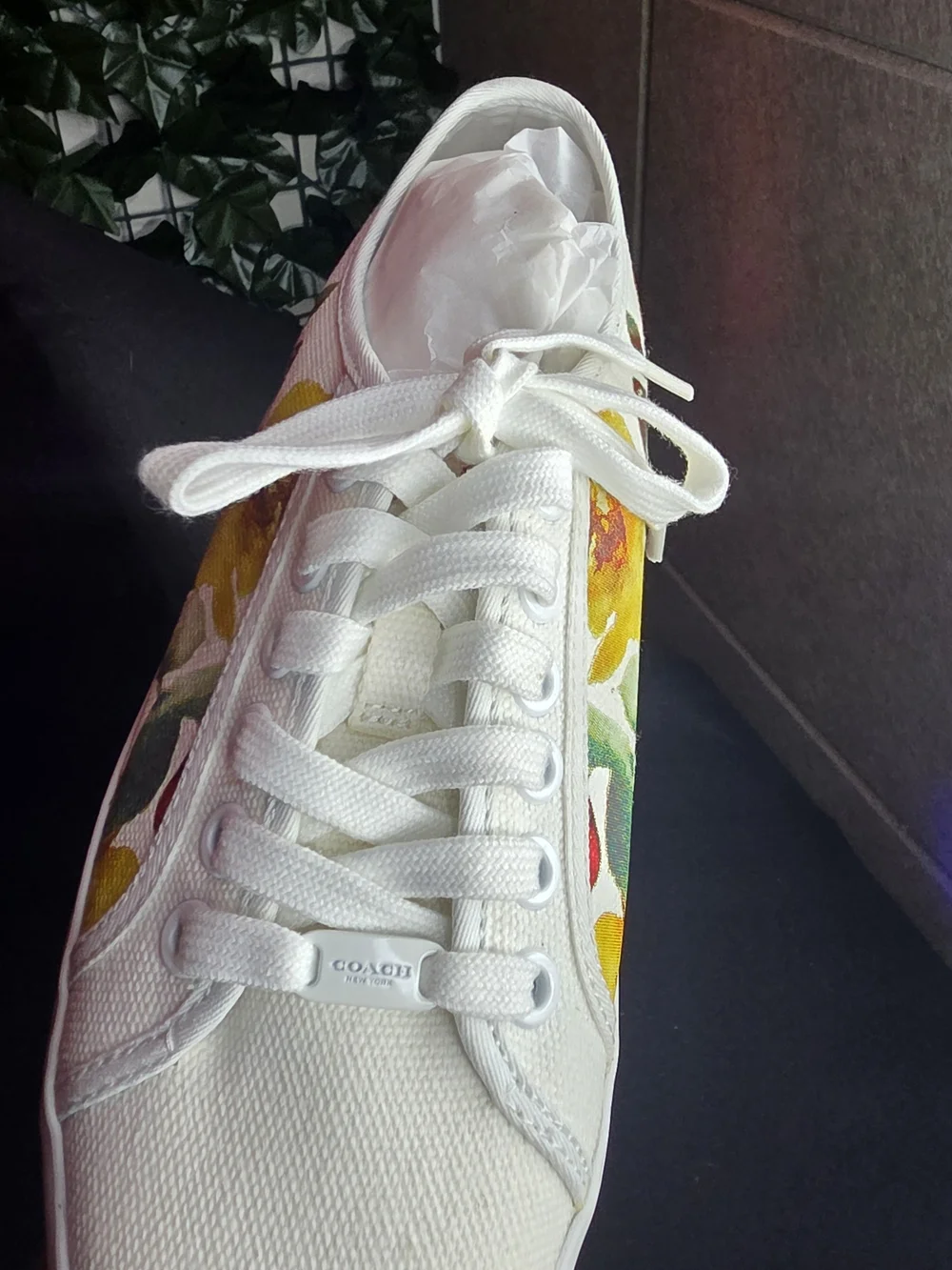 Coach women low