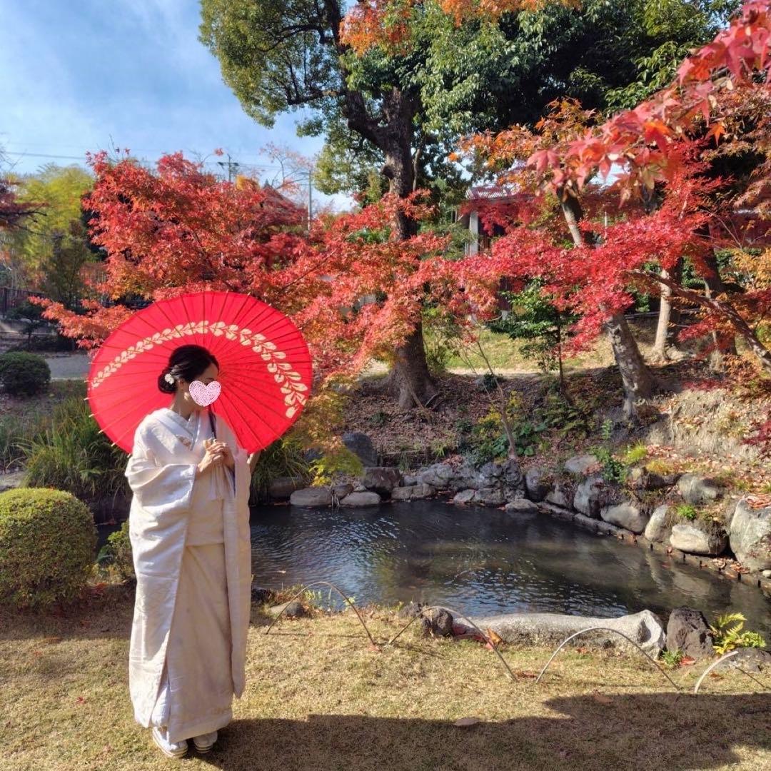 Japanese Umbrella, Bangasa, Janomegasa / Wisteria Flower Pattern
