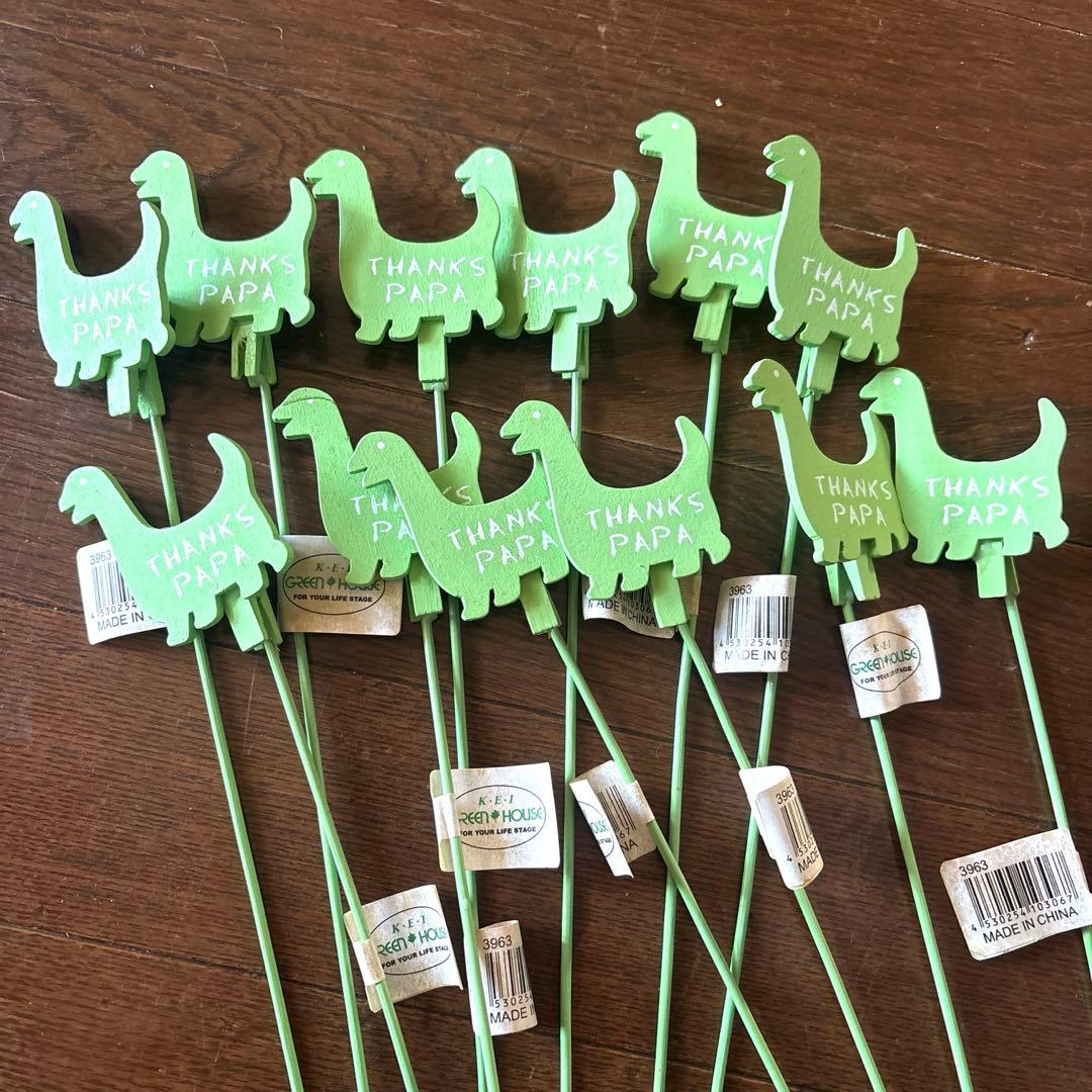 Dinosaur Pick Set THANKS PAPA