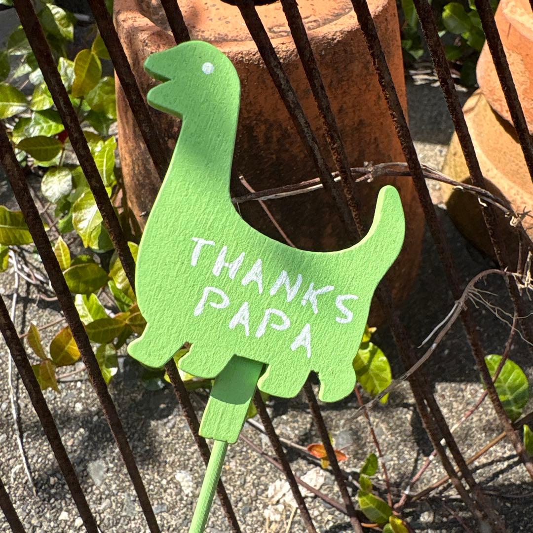 Dinosaur Pick Set THANKS PAPA