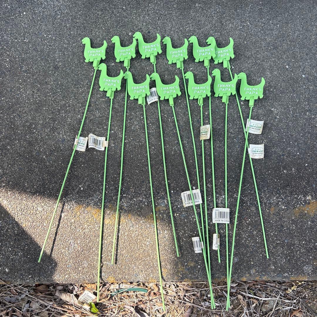 Dinosaur Pick Set THANKS PAPA