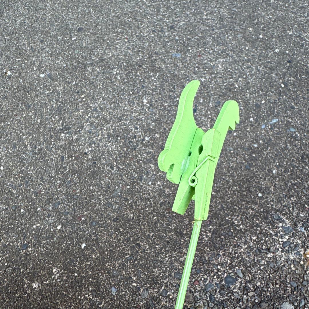 Dinosaur Pick Set THANKS PAPA