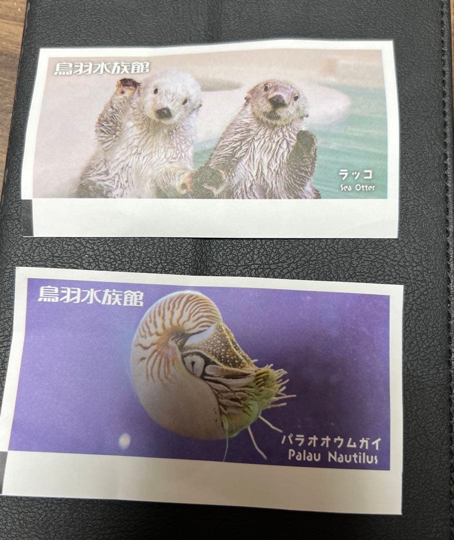 (Used) Toba Aquarium Ticket