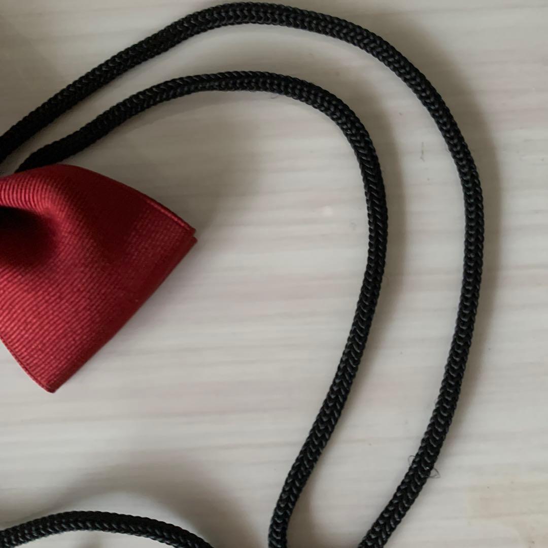 Lariat tie ribbon accessory
