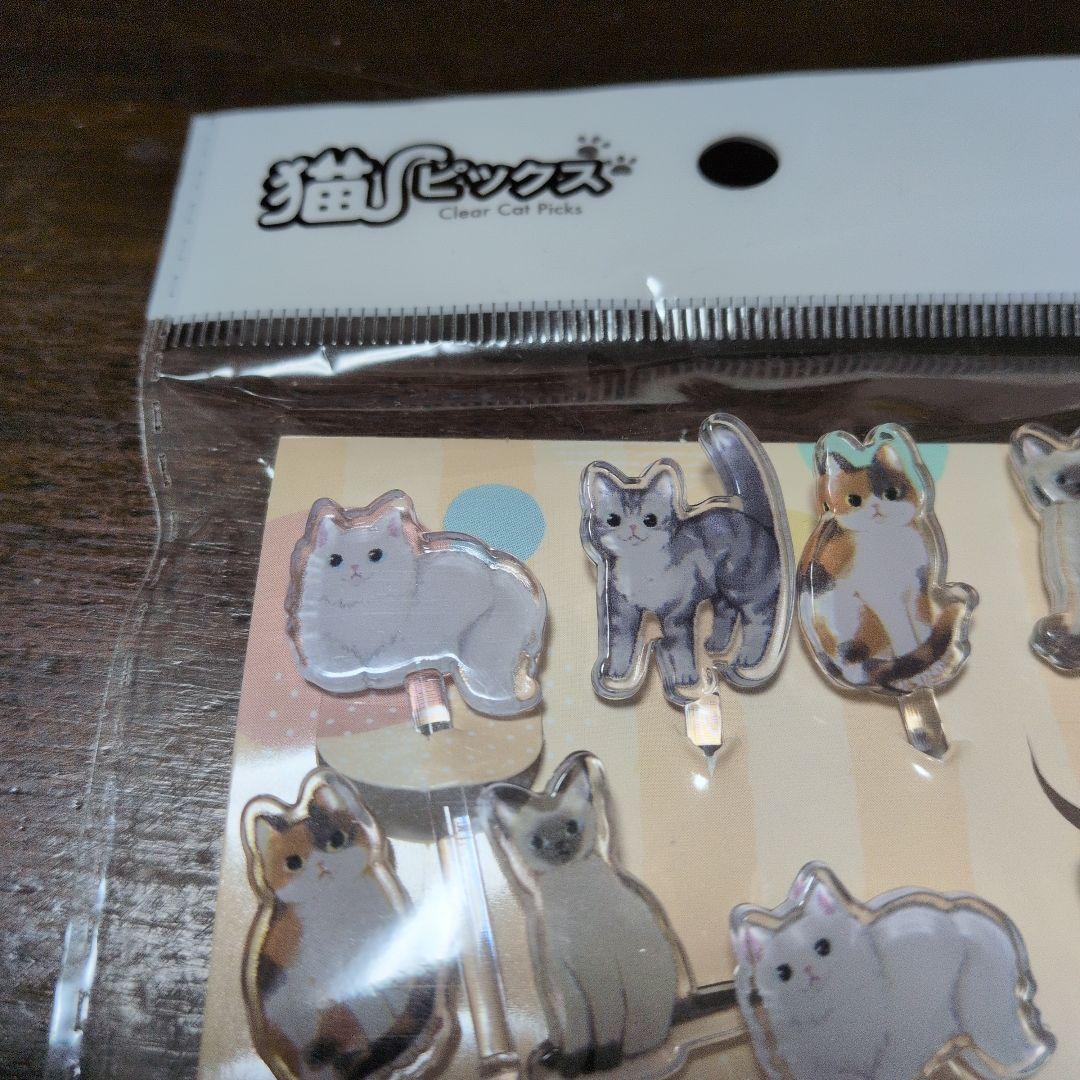 Lunch Box Picks, Cat Picks, Acrylic Stand-Style Picks, Cat, 8 Pieces