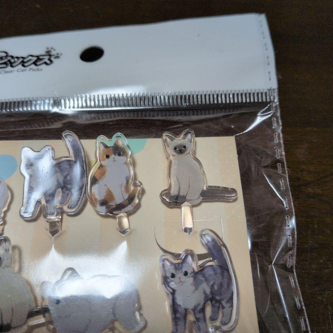 Lunch Box Picks, Cat Picks, Acrylic Stand-Style Picks, Cat, 8 Pieces